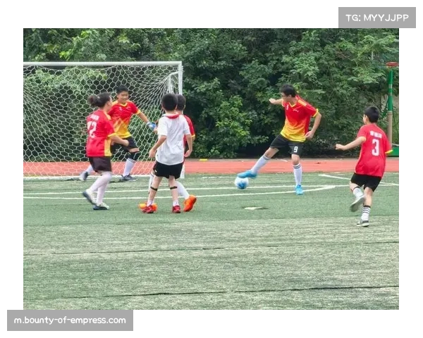 中小球队生存困境加剧 裁判争议影响联赛公平竞争环境